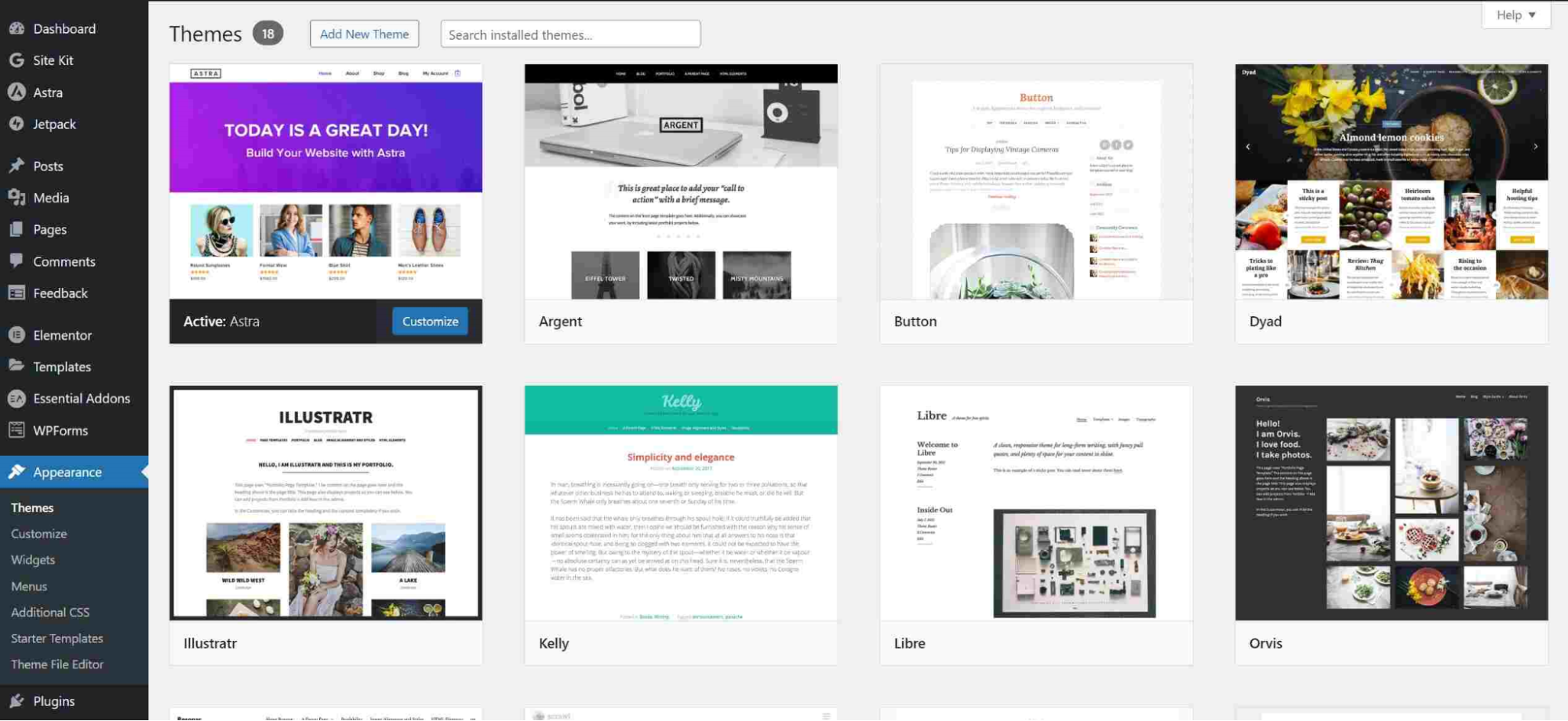 Screenshot of adding or customizing a new theme in the WordPress dashboard